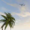 バカンス｜ヤシの木｜空 - 観光旅行｜無料イラスト素材
