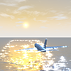 旅客機｜海｜夕暮れ - 観光旅行｜無料イラスト素材